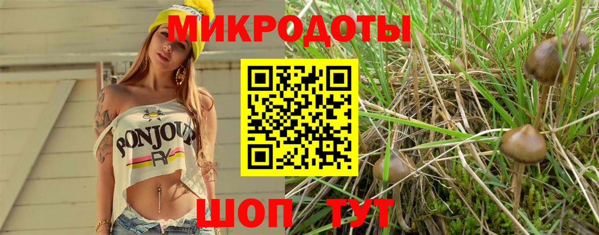 Галлюциногенные грибы мицелий  купить закладку  Вход с VPN  Кольчугино  Галлюциногенные грибы ЛСД 