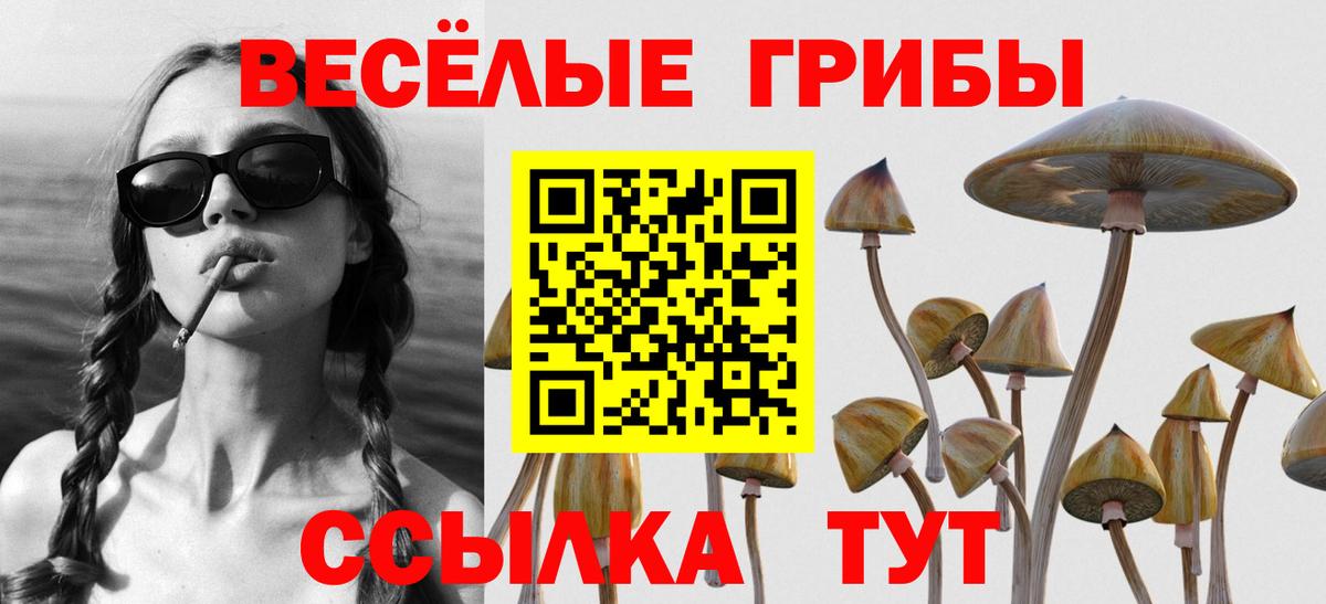 Псилоцибиновые грибы мухоморы Кольчугино