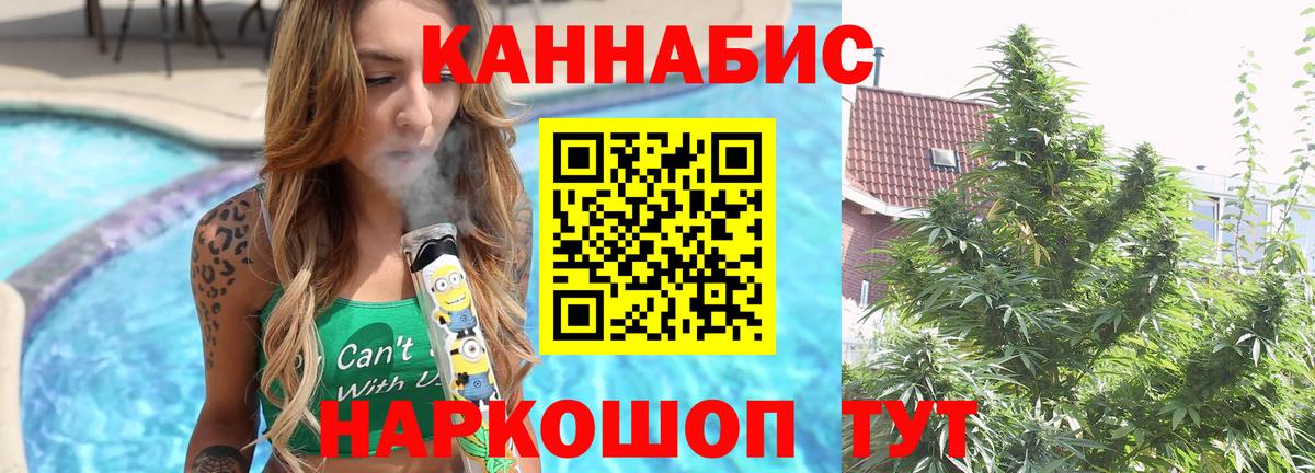 Кольчугино  Канабис гибрид  Конопля ГИДРОПОН  Бошки Шишки AK-47  Канабис Ganja  Вход с VPN 